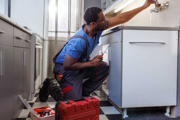 Best Local Plumber Services  in Roanoke Rapids, NC
